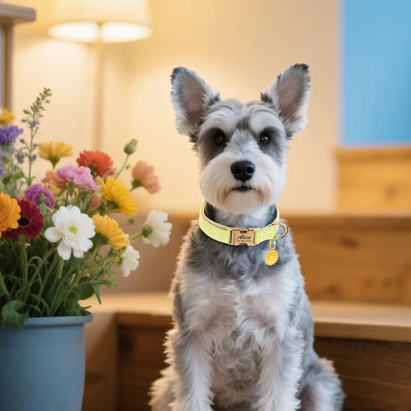 Load image into Gallery viewer, Daisy Chain - Personalised Collar