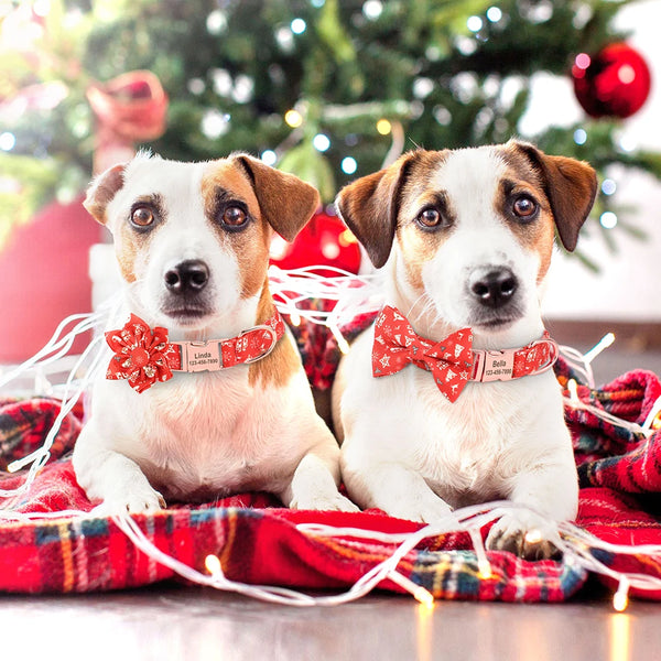 Load image into Gallery viewer, Holly & Rose - Personalised Collar