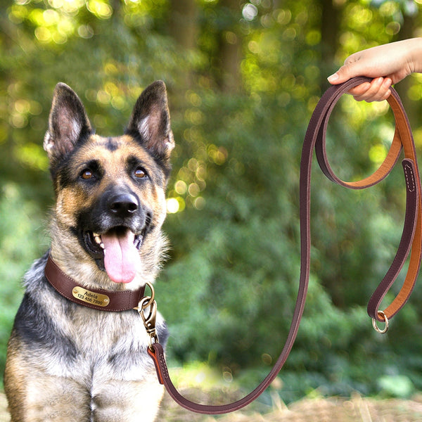 Load image into Gallery viewer, Diesel Leather - Leash & Personalised Collar