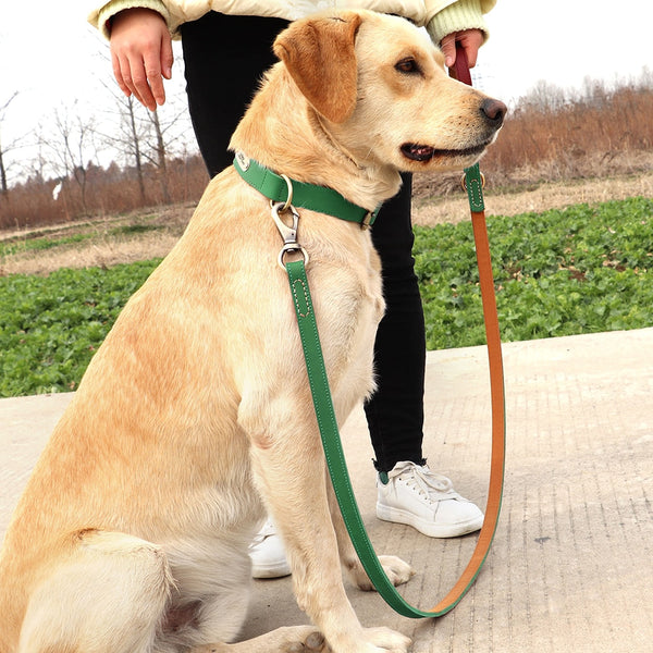 Load image into Gallery viewer, Diesel Leather - Leash & Personalised Collar