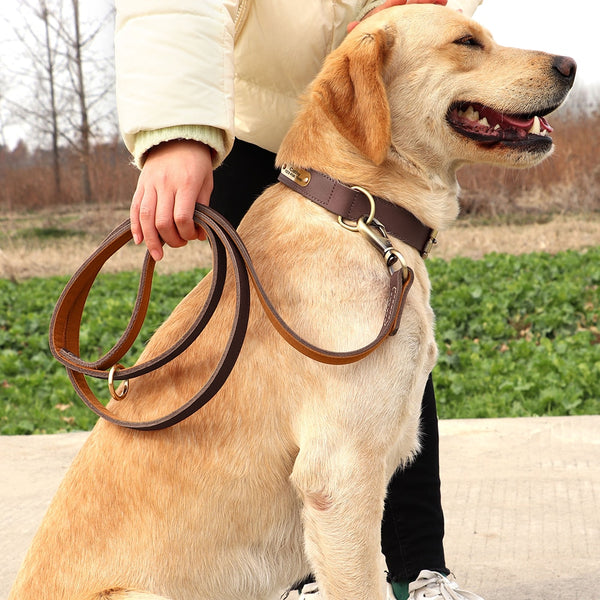 Load image into Gallery viewer, Diesel Leather - Leash & Personalised Collar