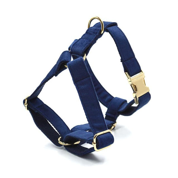 Load image into Gallery viewer, Luxury Velvet Crush Navy - Personalised Harness