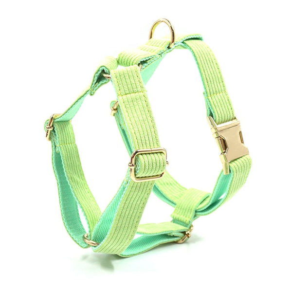 Load image into Gallery viewer, Corduroy Crush Lime - Personalised Harness