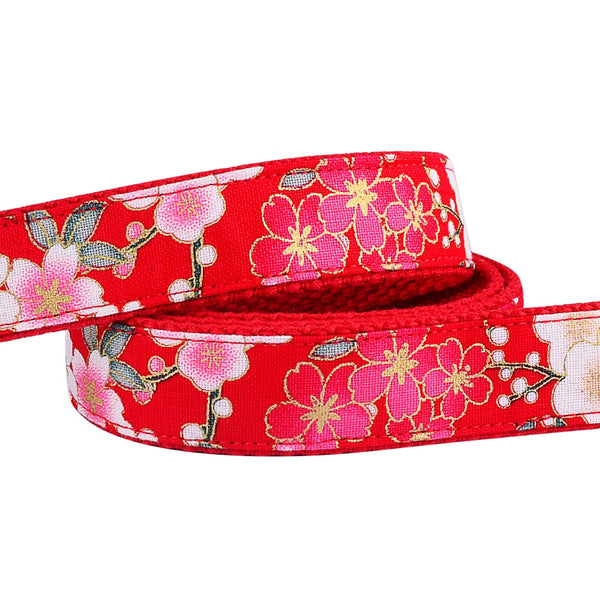Load image into Gallery viewer, Sunday Best - 2 Piece Set - Leash & Personalised Collar