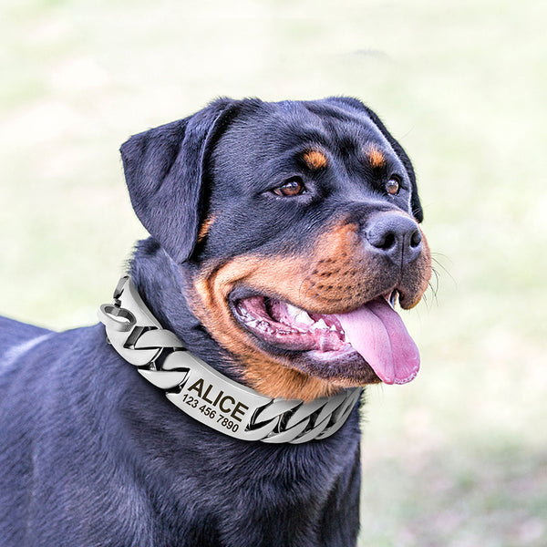 Load image into Gallery viewer, P.I.M.P Chain - Personalised Collar