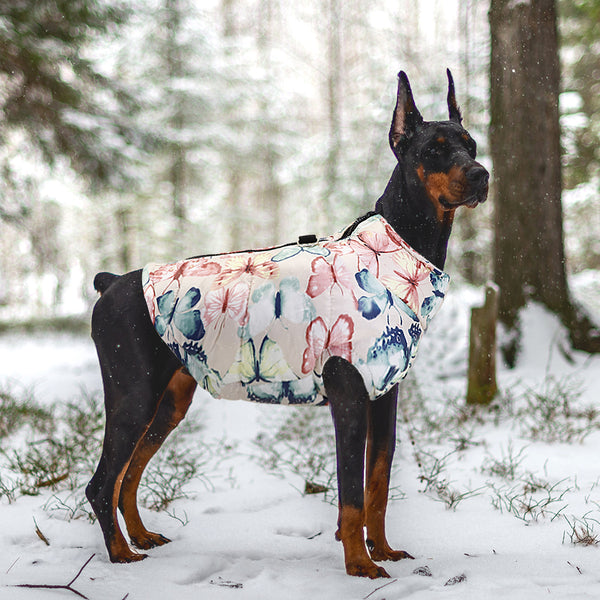 Load image into Gallery viewer, Bomber Print Dog Jacket