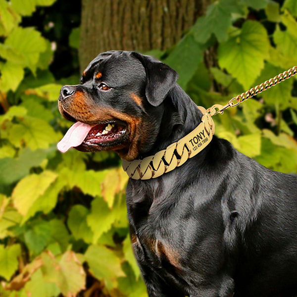 Load image into Gallery viewer, P.I.M.P Chain - Personalised Collar