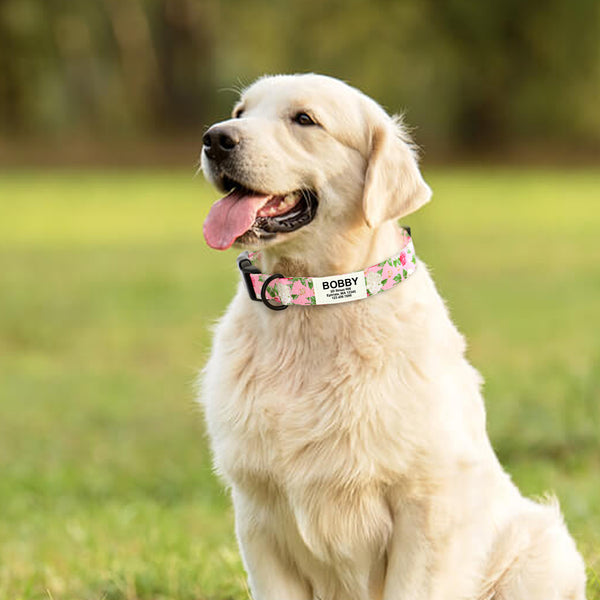 Load image into Gallery viewer, Floral Dream Print - Personalised Collar