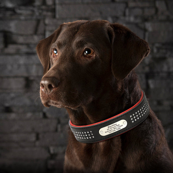 Load image into Gallery viewer, Lush Diamonds Leather - Personalised Collar