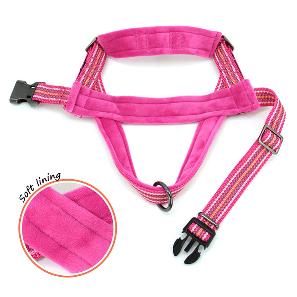 Load image into Gallery viewer, Friendly Harness