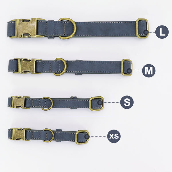 Load image into Gallery viewer, Vintage Bronze - 2 Piece Set - Leash & Personalised Collar