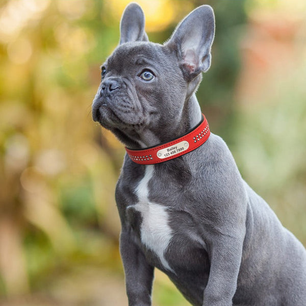 Load image into Gallery viewer, Sparkle Diamond Leather - Personalised Collar