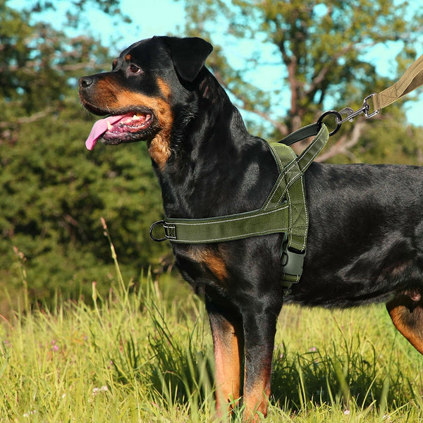 Load image into Gallery viewer, Special Forces Slim Line Dog Harness