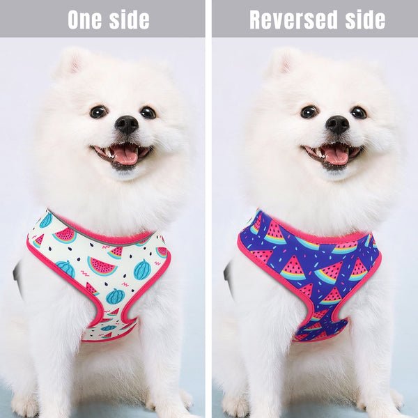 Load image into Gallery viewer, Reverse It Harness