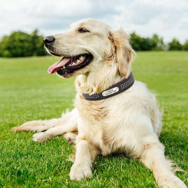 Load image into Gallery viewer, Sparkle Diamond Leather - Personalised Collar