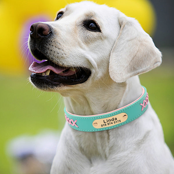 Load image into Gallery viewer, Colour Plait Gold Limited - 2 Piece Set - Leash & Personalised Collar