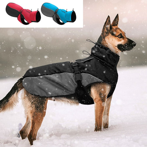 Load image into Gallery viewer, Wind Breaker Dog Jacket