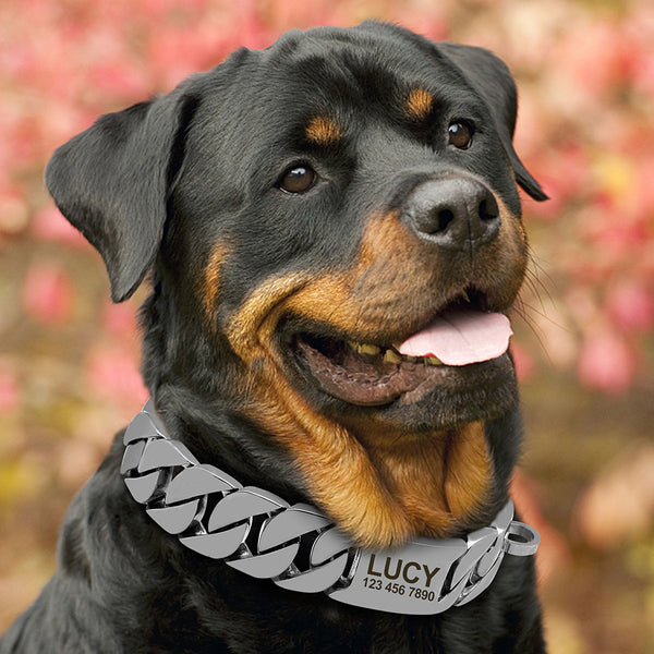 Load image into Gallery viewer, P.I.M.P Chain - Personalised Collar