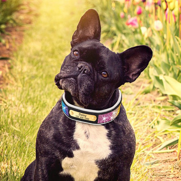 Load image into Gallery viewer, Hollywood Lights - Personalised Collar