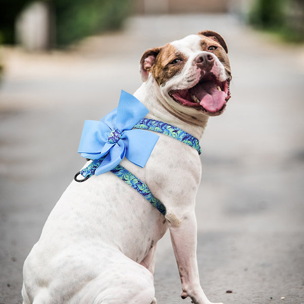 Load image into Gallery viewer, Spring Floral Bow Harness