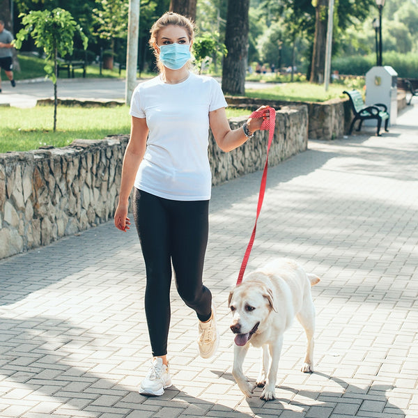 Load image into Gallery viewer, Sunday Best - 2 Piece Set - Leash & Personalised Collar