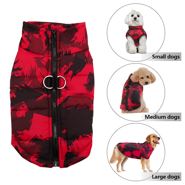 Load image into Gallery viewer, Bomber Print Dog Jacket
