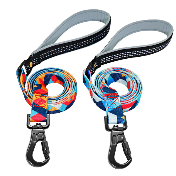 Load image into Gallery viewer, Colour Pop - 2 Piece Set - Leash & Personalised Collar