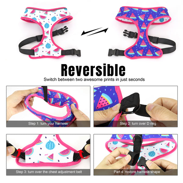 Load image into Gallery viewer, Reverse It Harness