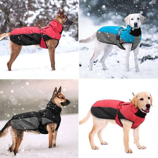 Load image into Gallery viewer, Wind Breaker Dog Jacket