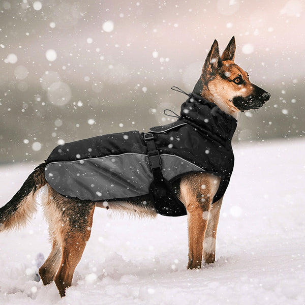 Load image into Gallery viewer, Wind Breaker Dog Jacket