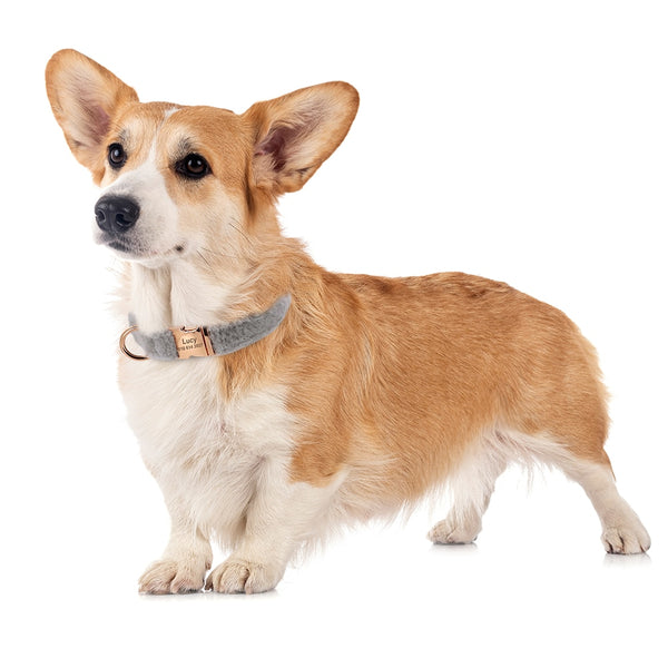 Load image into Gallery viewer, Fuzzy - Personalised Collar