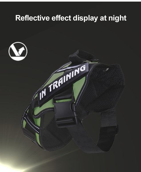 Load image into Gallery viewer, ID Patch Pup - Personalised Harness