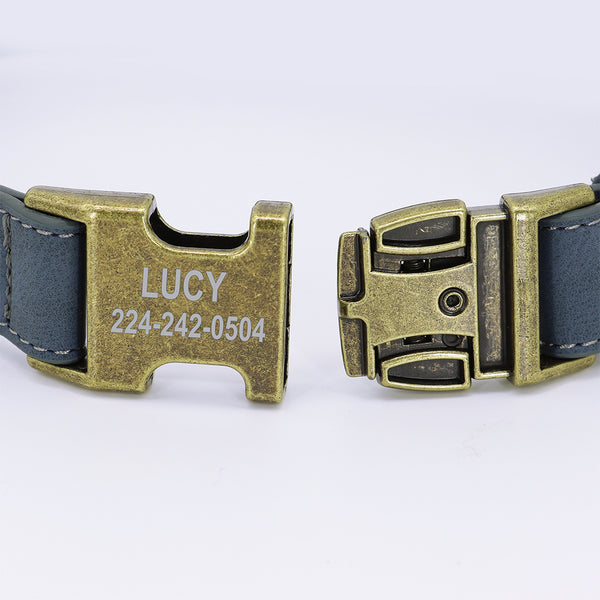 Load image into Gallery viewer, Vintage Bronze - 2 Piece Set - Leash & Personalised Collar