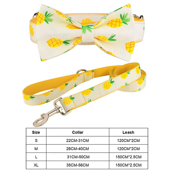 Load image into Gallery viewer, Sunday Best - 2 Piece Set - Leash & Personalised Collar