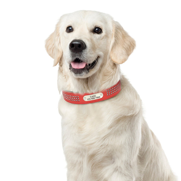 Load image into Gallery viewer, Lush Diamonds Leather - Personalised Collar