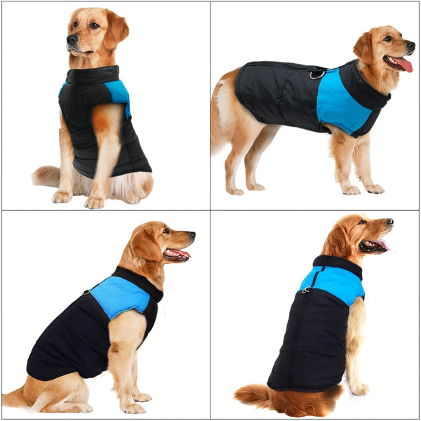 Load image into Gallery viewer, Black Walker Dog Jacket