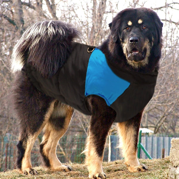 Load image into Gallery viewer, Black Walker Dog Jacket