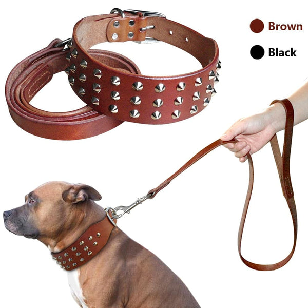 Load image into Gallery viewer, Leather Rivet - 2 Piece Set - Leash & Collar