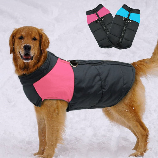 Load image into Gallery viewer, Black Walker Dog Jacket