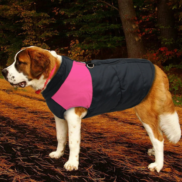Load image into Gallery viewer, Black Walker Dog Jacket