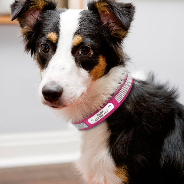 Load image into Gallery viewer, Dazzle - Personalised Collar