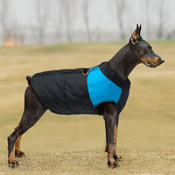 Load image into Gallery viewer, Black Walker Dog Jacket