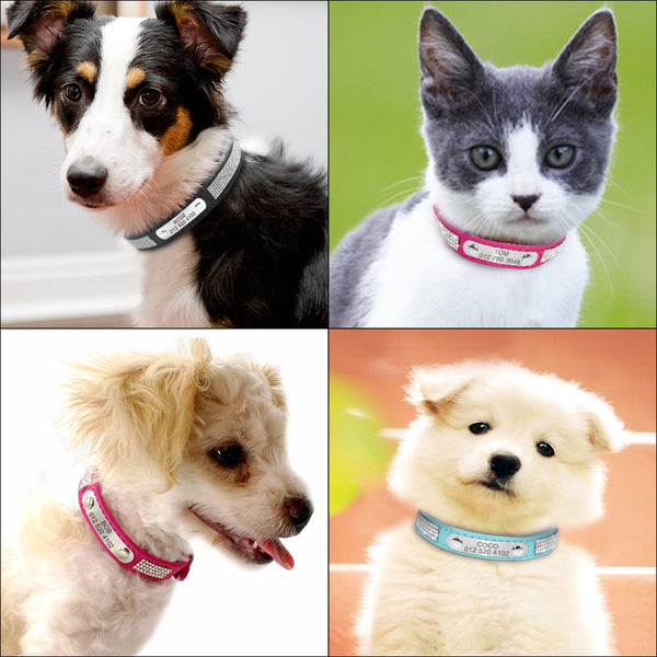 Load image into Gallery viewer, Dazzle - Personalised Collar