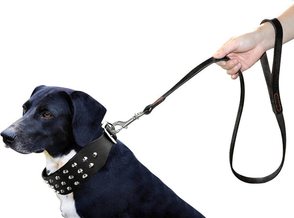 Load image into Gallery viewer, Leather Rivet - 2 Piece Set - Leash & Collar
