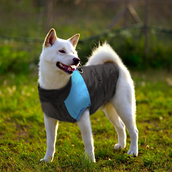 Load image into Gallery viewer, Black Walker Dog Jacket