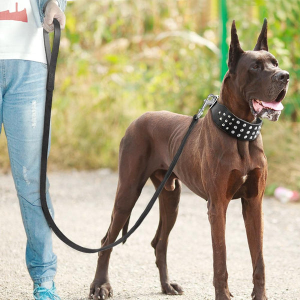 Load image into Gallery viewer, Leather Rivet - 2 Piece Set - Leash & Collar