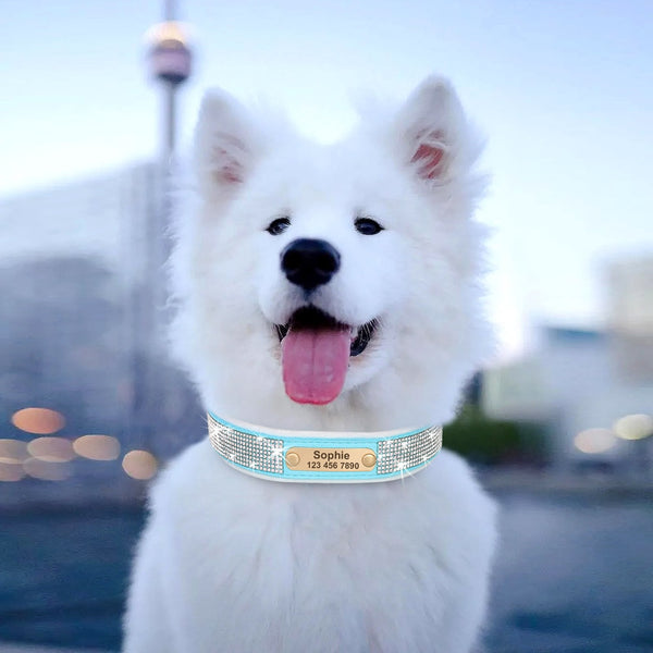 Load image into Gallery viewer, Hollywood Lights - Personalised Collar