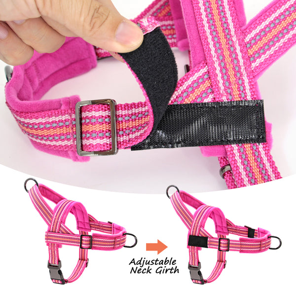 Load image into Gallery viewer, Friendly Harness