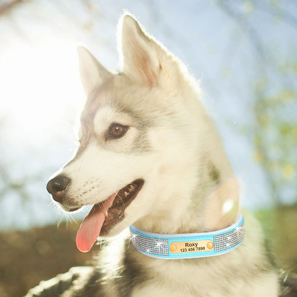 Load image into Gallery viewer, Hollywood Lights - Personalised Collar
