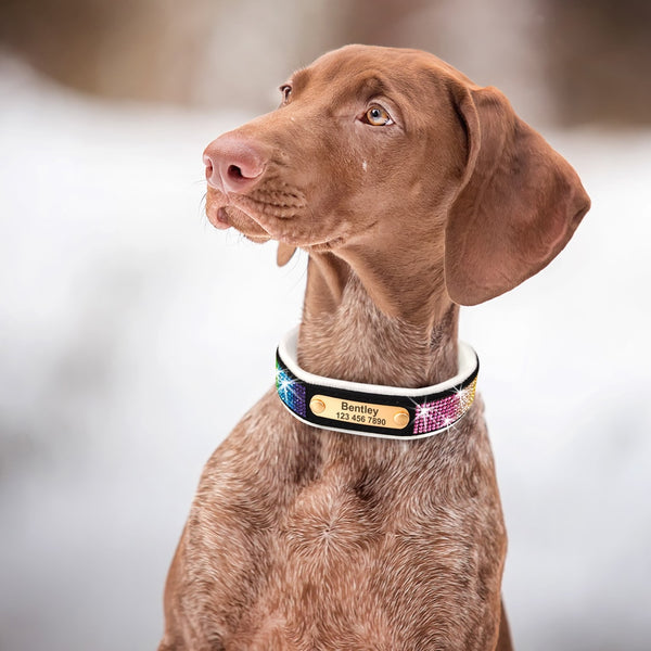 Load image into Gallery viewer, Hollywood Lights - Personalised Collar